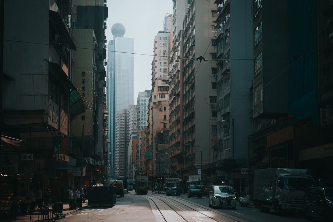 重押上海背面，老铺黄金的策略
